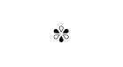 ✾ 